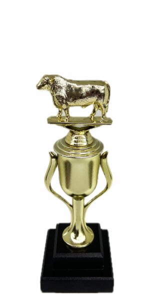 Hereford Steer Trophy 240mm