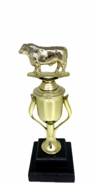Angus Bull Trophy 240mm