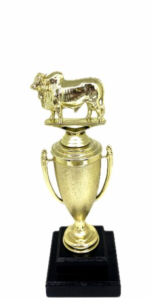 Brahma Bull Trophy 240mm