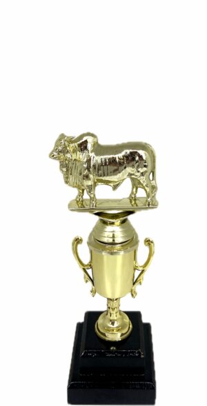 Brahma Bull Trophy 215mm