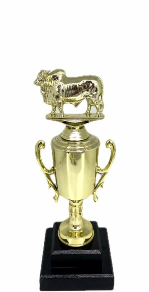 Brahma Bull Trophy 240mm