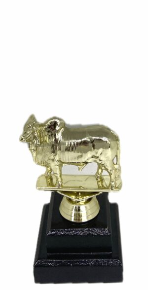 Brahma Bull Trophy 125mm