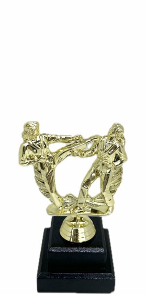 Karate Female Double Action Trophy 165mm