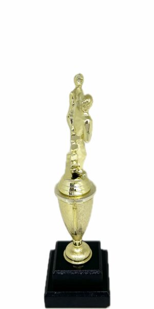 Karate Male Double Action Trophy 290mm