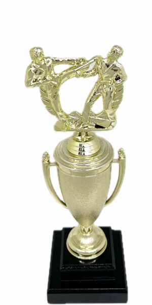 Karate Male Double Action Trophy 325mm