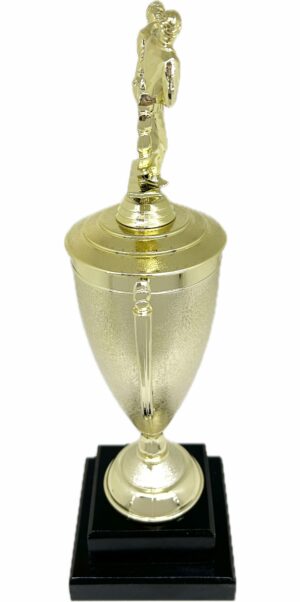 Karate Male Double Action Trophy 405mm