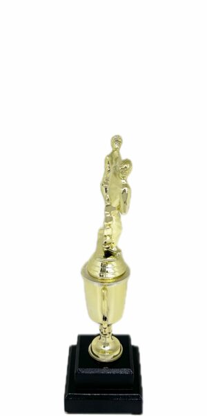 Karate Male Double Action Trophy 265mm