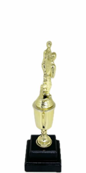 Karate Male Double Action Trophy 290mm