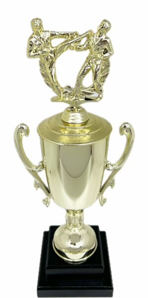 Karate Male Double Action Trophy 365mm