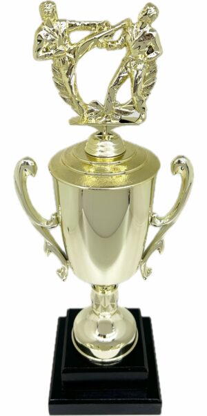 Karate Male Double Action Trophy 405mm