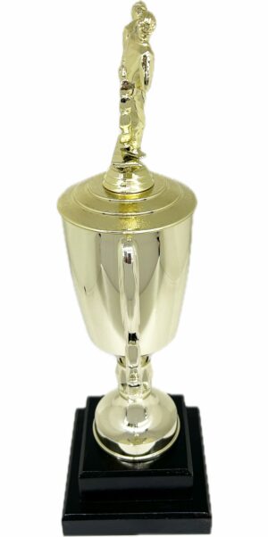 Karate Male Double Action Trophy 405mm