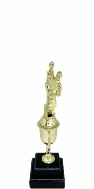 Karate Male Double Action Trophy 265mm