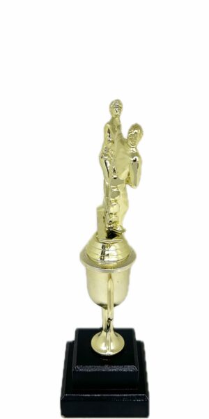 Karate Male Double Action Trophy 290mm