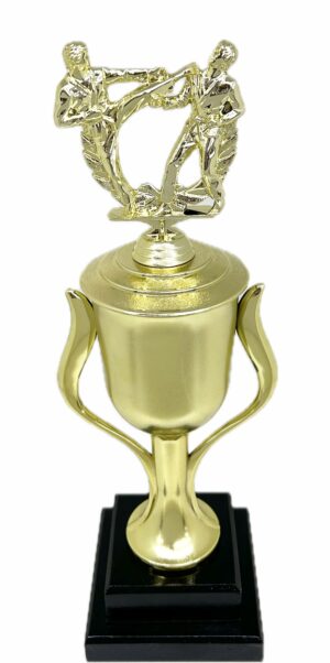 Karate Male Double Action Trophy 365mm