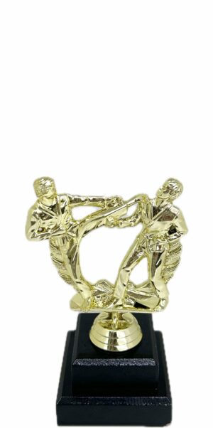 Karate Male Double Action Trophy 165mm