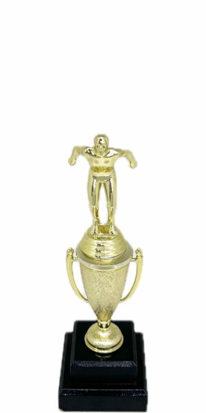 Swimming Male Trophy 245mm