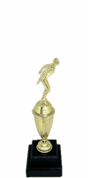 Swimming Male Trophy 245mm