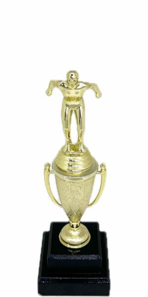 Swimming Male Trophy 270mm