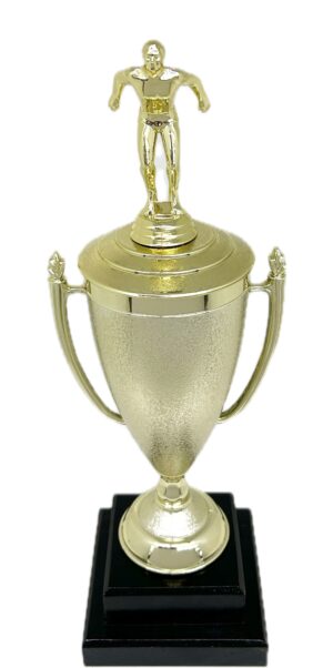 Swimming Male Trophy 345mm