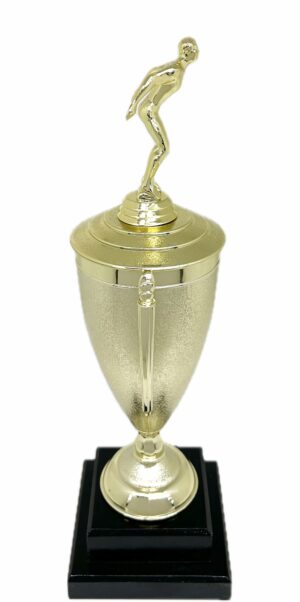 Swimming Male Trophy 345mm