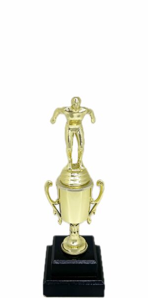 Swimming Male Trophy 245mm