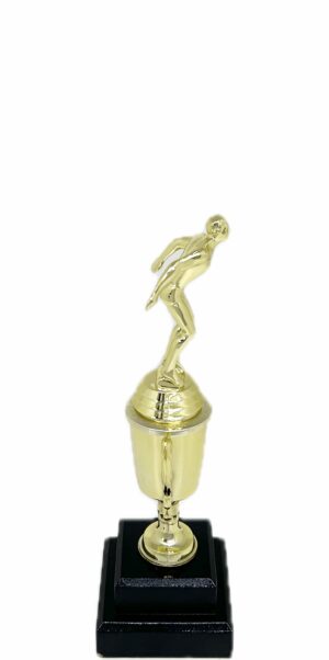 Swimming Male Trophy 245mm