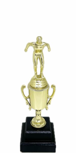 Swimming Male Trophy 270mm