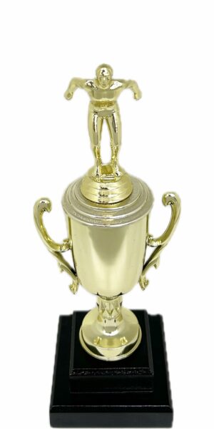 Swimming Male Trophy 305mm