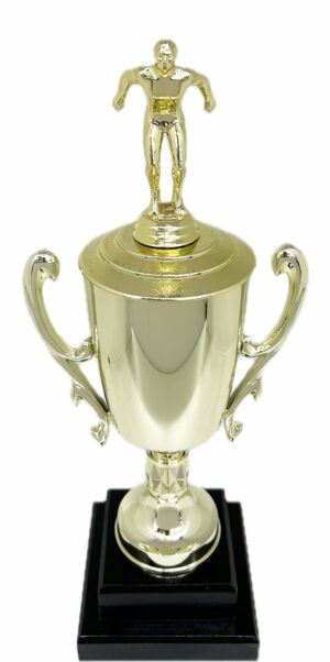 Swimming Male Trophy 345mm