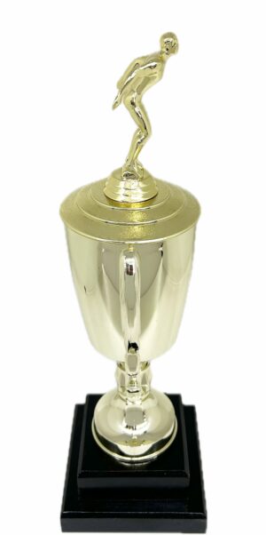 Swimming Male Trophy 345mm