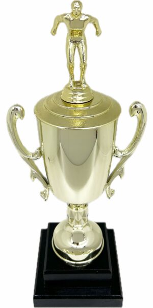 Swimming Male Trophy 385mm