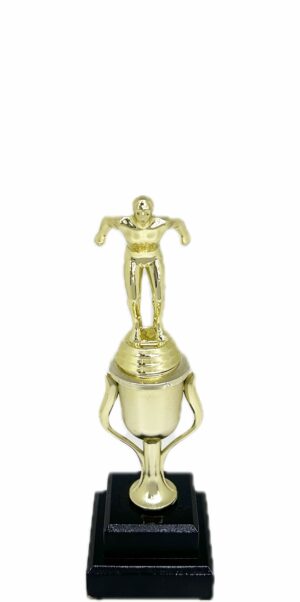 Swimming Male Trophy 245mm