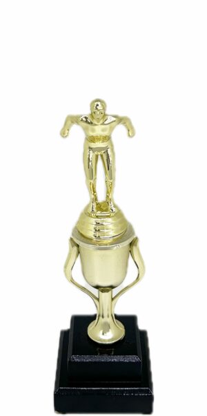 Swimming Male Trophy 270mm