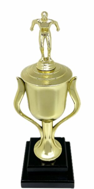 Swimming Male Trophy 345mm