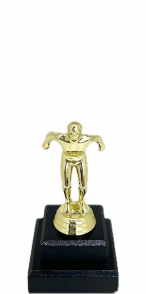 Swimming Male Trophy 145mm