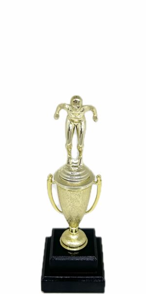 Swimmer Female Trophy 245mm