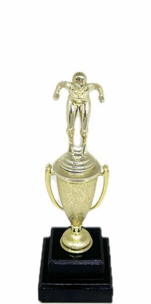 Swimmer Female Trophy 270mm