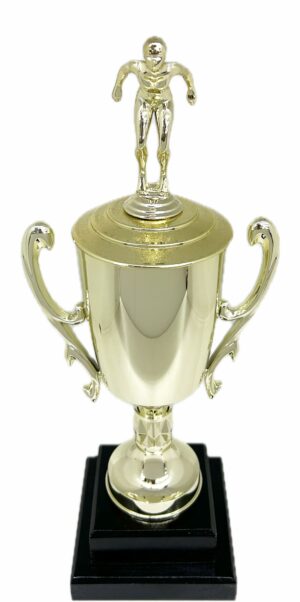 Swimmer Female Trophy 345mm