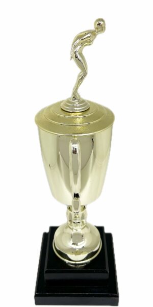 Swimmer Female Trophy 345mm