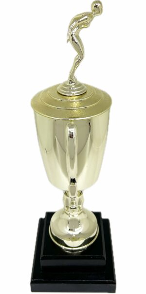 Swimmer Female Trophy 385mm