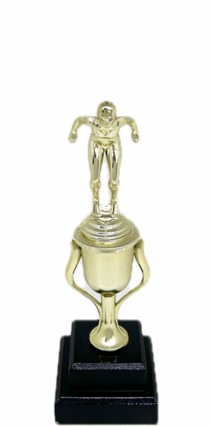 Swimmer Female Trophy 270mm