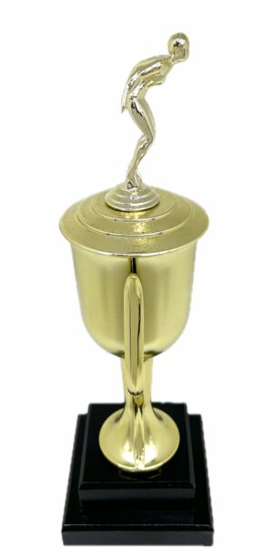 Swimmer Female Trophy 345mm