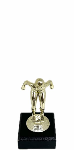 Swimming Female Trophy 125mm