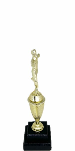 Ice Skater Male Trophy 280mm