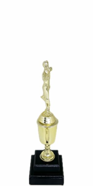 Ice Skater Male Trophy 280mm