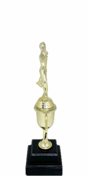 Ice Skater Male Trophy 305mm