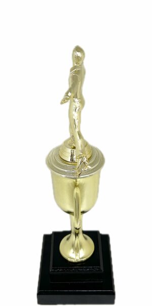 Ice Skater Male Trophy 340mm