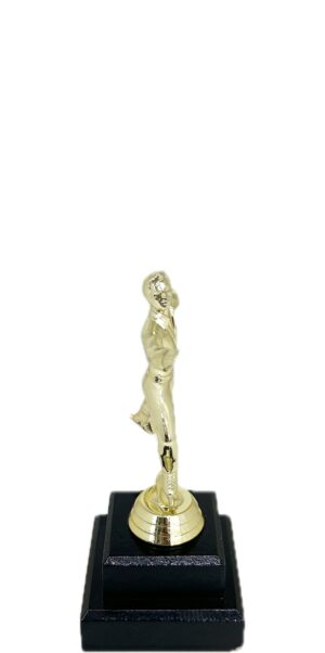 Ice Skater Male Trophy 160mm