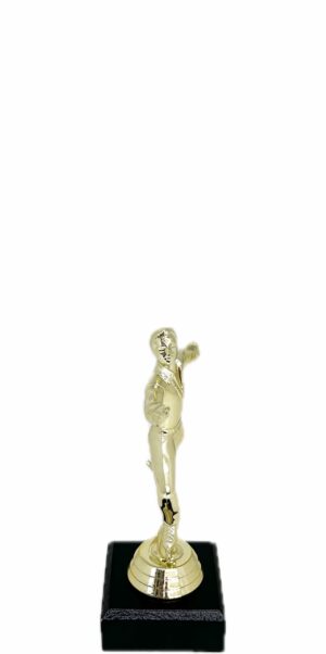 Ice Skater Male Trophy 160mm