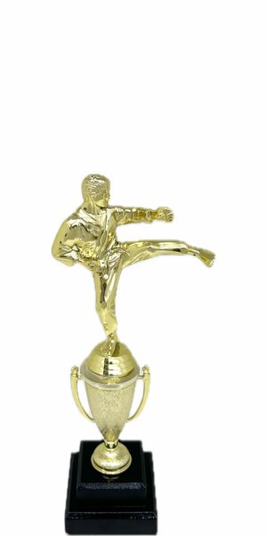 Karate Male Trophy 290mm